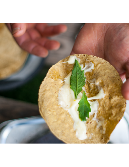 Tortilla kukurydziana 11cm