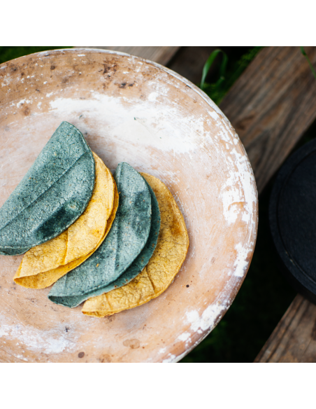 Eko tortilla kukurydziana 15cm MIX (niebieska i żółta) - 10szt.