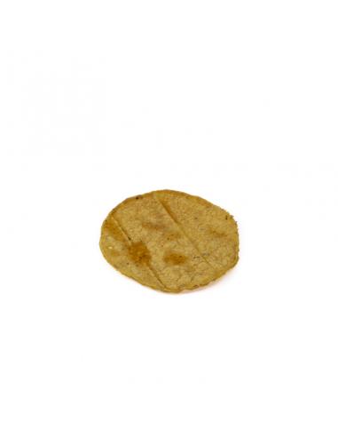 Tortilla kukurydziana 11cm